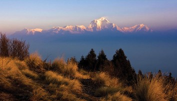 Ghorepani Poon Hill Trek