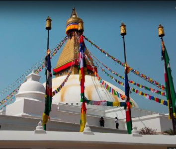 8 Days / 7 Nights Kathmandu-Chitwan- Pokhara –Kathmandu Tour