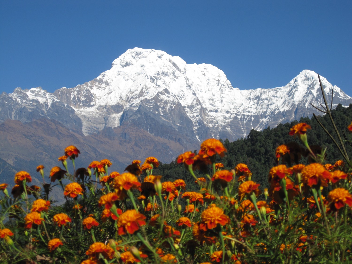 Trekking In Nepal After Earthquake